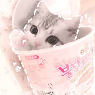 cute cat in ramen bowl aesthetic cute