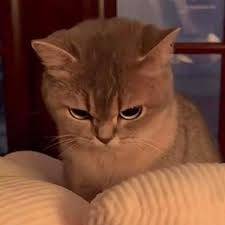 Me be like when have to go to school