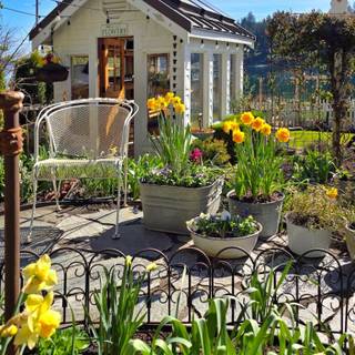 Cottage Spring