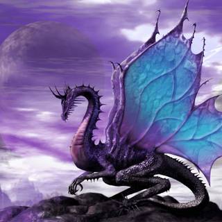 Spring Dragon
