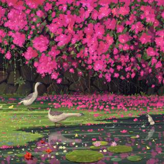 Geese Under Pink Blossom Trees