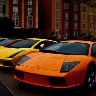 Lamborghini Murcielago and Gallardo