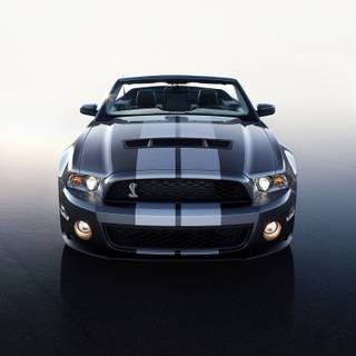 Ford Shelby GT500 Convertible din 2010