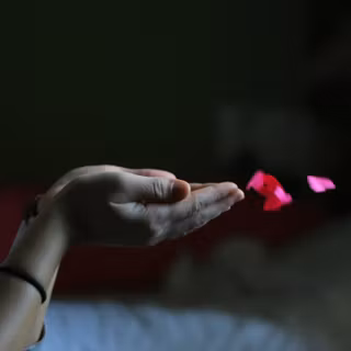 love is in the air 