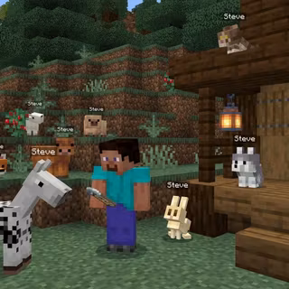 Minecraft 