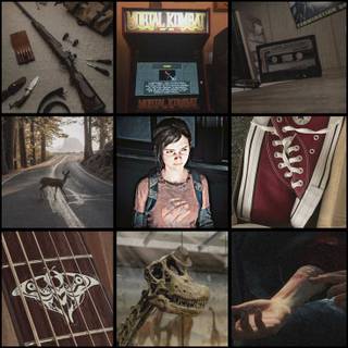 TLOU Young Ellie Moodboard from Pinterest 