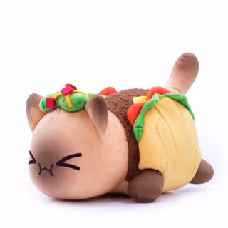 taco cat