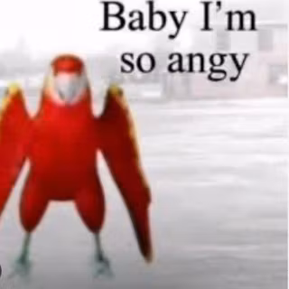 Roblox parrot clipping voice wallpaper 
