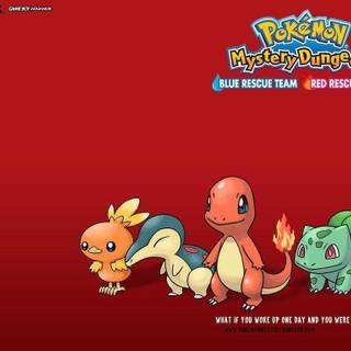 pokemon 