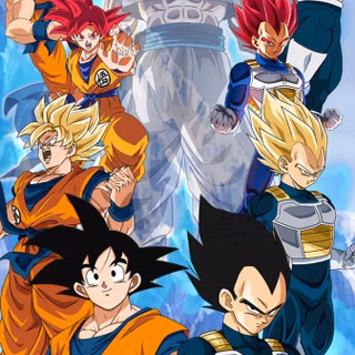 Goku and Vegeta