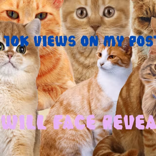 for real guys I actually will tho