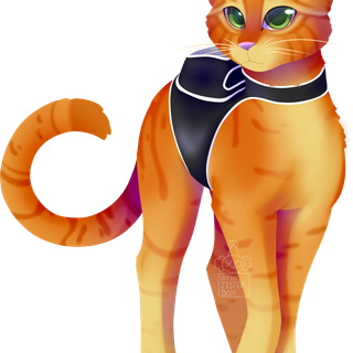 stray