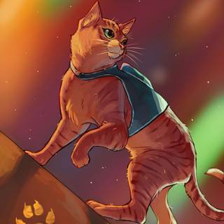 stray