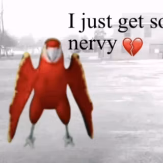 I just get so nervy roblox meme wallpaper 