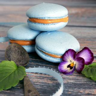 Elegant Macaron Deligh