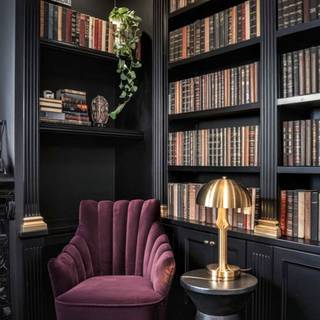 Home book room/Library