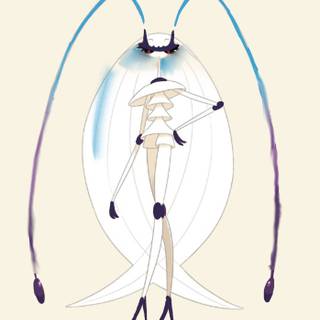 Shadow pheramosa 