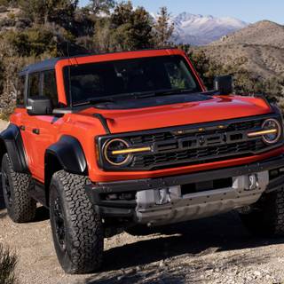 Raptor bronco wallpaper