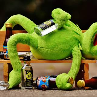 funny drunk kermit