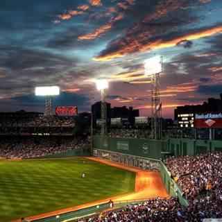 Fenway park
