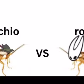 who will win??