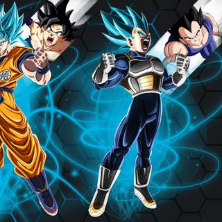 Vegeta ssgod ss  and Goku   ssgod ss  