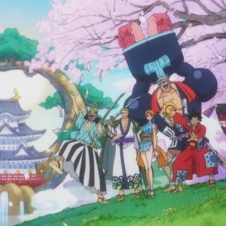 one piece wallpaper 