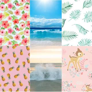sunshine collage