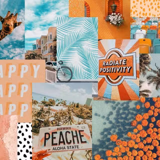 summer collage