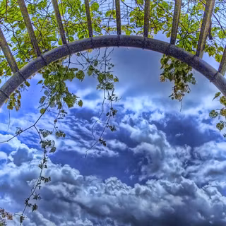 Green garden