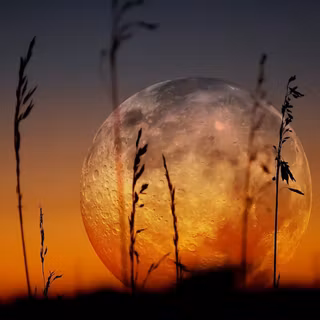 Full Moon Meditation with Singing Bowls