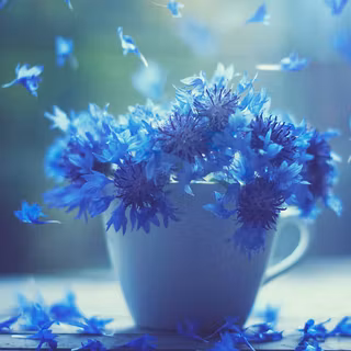 Beautiful Macro Shot Flower
