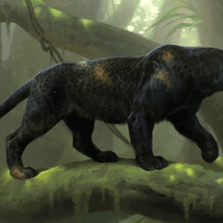 black panther