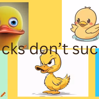Ducks don't suck