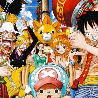 Luffy and Nami Robin Zoro Sanji  Franky CHopper BRook