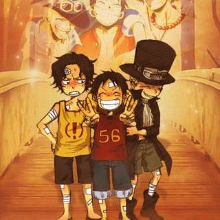 Ace Sabo Luffy 