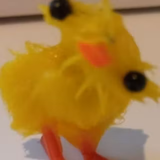 cute ducky