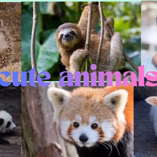 cute animals