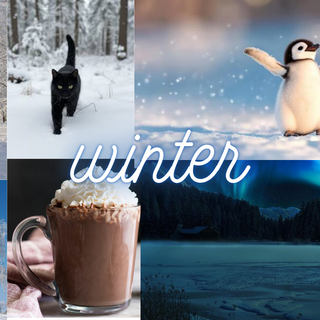 winter wonderland