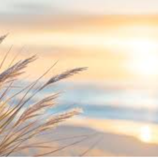 Beach Serenity