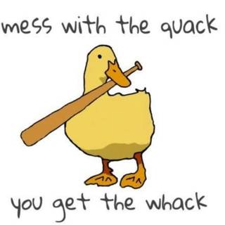 duck 
