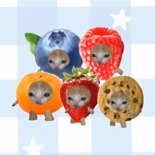 cute kittens