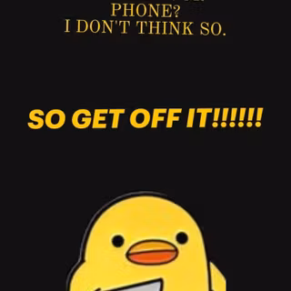 funny duck