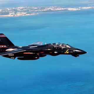 Grumman F-14 Tomcat