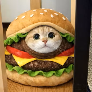 cute kitten