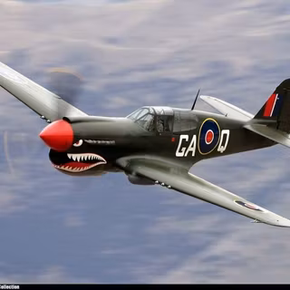 P-40 Tiger shark