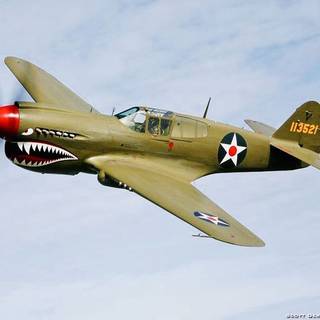 P-40 Tiger shark