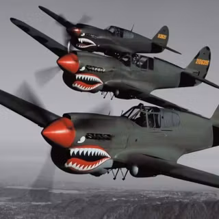 P-40 Tiger shark