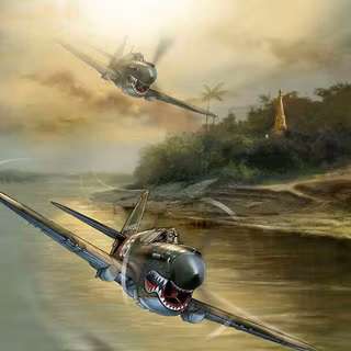 P-40 Tiger shark