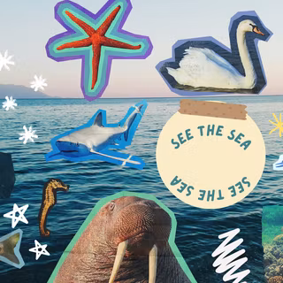 The Sea